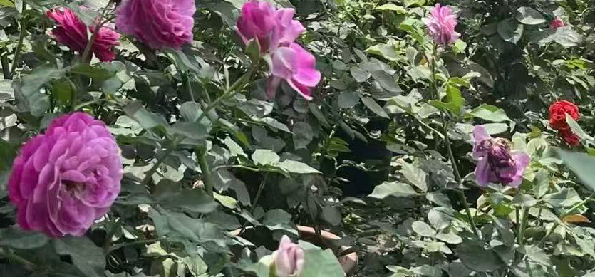 �����¼����溦�����嵥